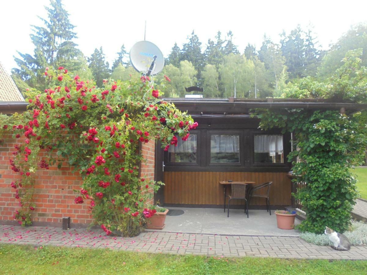 Bergfreiheit Villa Schierke Dış mekan fotoğraf